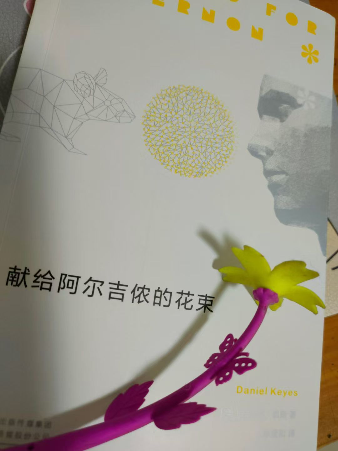 《献给阿尔吉侬的花束》有感